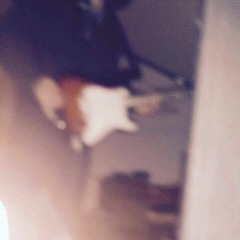 Fucker Det Her Shit Op Remix