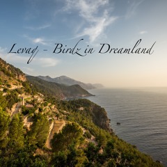 Levaq // Birdz In Dreamland (Club Edit)