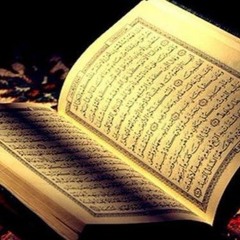 قرآن - محمد نصر