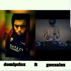 Domiprinzprod Ft DJ.Gonzalez  - You Aint Shit