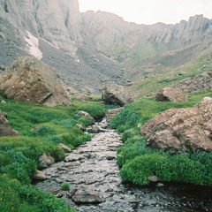 Take a look at what you said