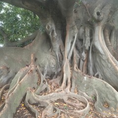 Imorgon är det måndag igen