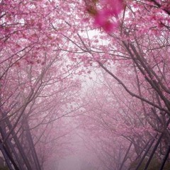 ++ April Rising ++