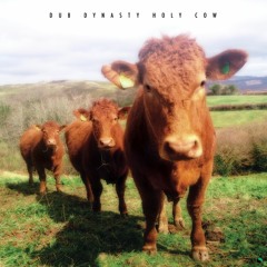Dub Dynasty - The Damselfly