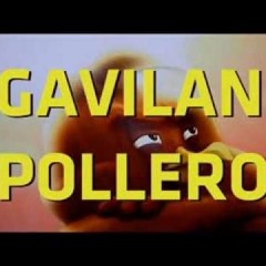 Pedro Infante - El Gavilán Pollero (Bοne GDS Rmx!) [KAISER MUSIC]