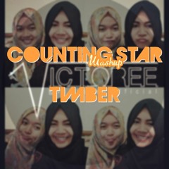 Timber / Counting Stars MASHUP (Ke$ha/OneRepublic) - VICTOREE