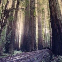 Kreislauf (prod. Thay The Bavarian)