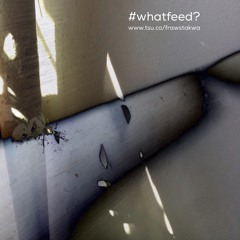 #whatfeed?