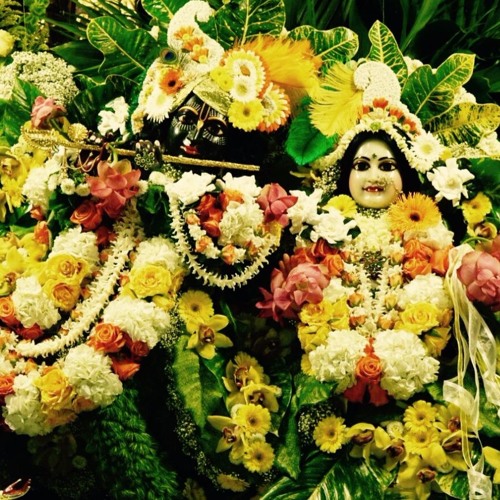 Stream Ram Navami 2016 at Radha Govinda Part 2 Gopal Acyuta Kesava