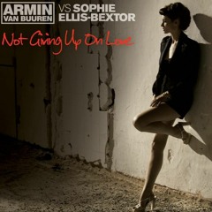 Armin Van Buuren Vs. Sophie Ellis Bextor Vs. Not Giving Up On Cruel (Andress Mashup)[FREE]