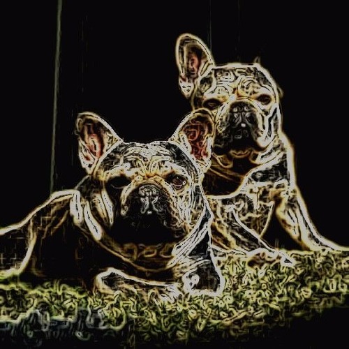 Mad Bulldogs on Acid vol. 02