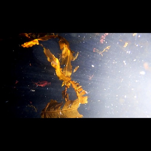 Underwater drones (test from broken pier ólafsfjörður, Iceland)
