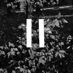 Vortex II (Altum Records)