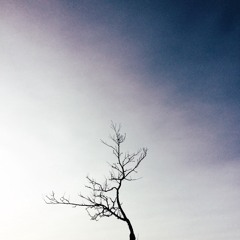 The Land Below - Hand In My Pocket (Alanis Morissette)