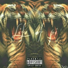 Night after Night (Freestlye)-ABM BALLY