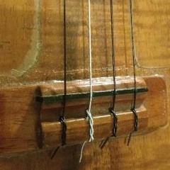 Chandelier (Ukulele Cover)