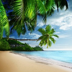 "La Mara" Tropical House Minimix