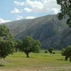 دختر خاله(لری).mp3