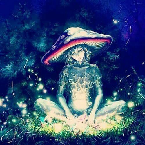 Cosma - Lemon Light