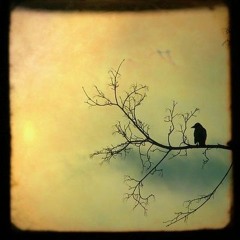 Starting Somewhere - 2016 - 04 - 16 22.21