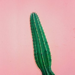 PAUL T. / ORAJ / MAXV