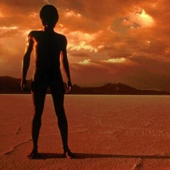 Life On Mars