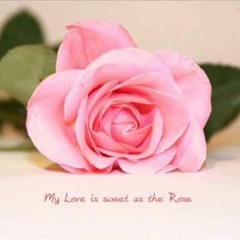 Slow romantic