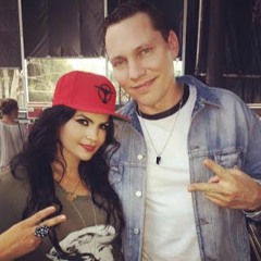 Tiesto Feat. Vassy - Nothing to Lose