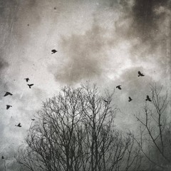 Pandelic - Mend Me If I Break, Catch Me If I Fall