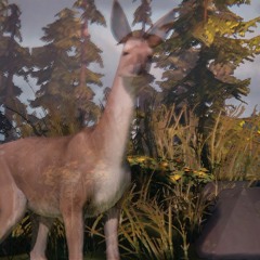 GAMES˚✧₊⁎⁺♡˳✧༚