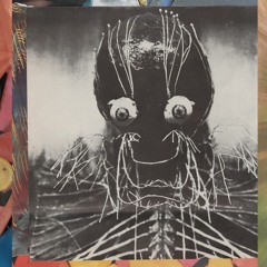 Quack Quack/Milos Olympus c30 sample