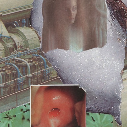 Macronympha "Purulent Recollections" c60 sample