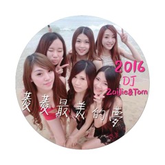 2016-菱菱最美的夢(DJ子傑&DJ姆雄)