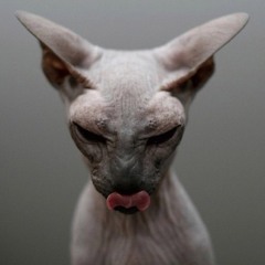 Emalkay - Explicit ( Bishop Remix)