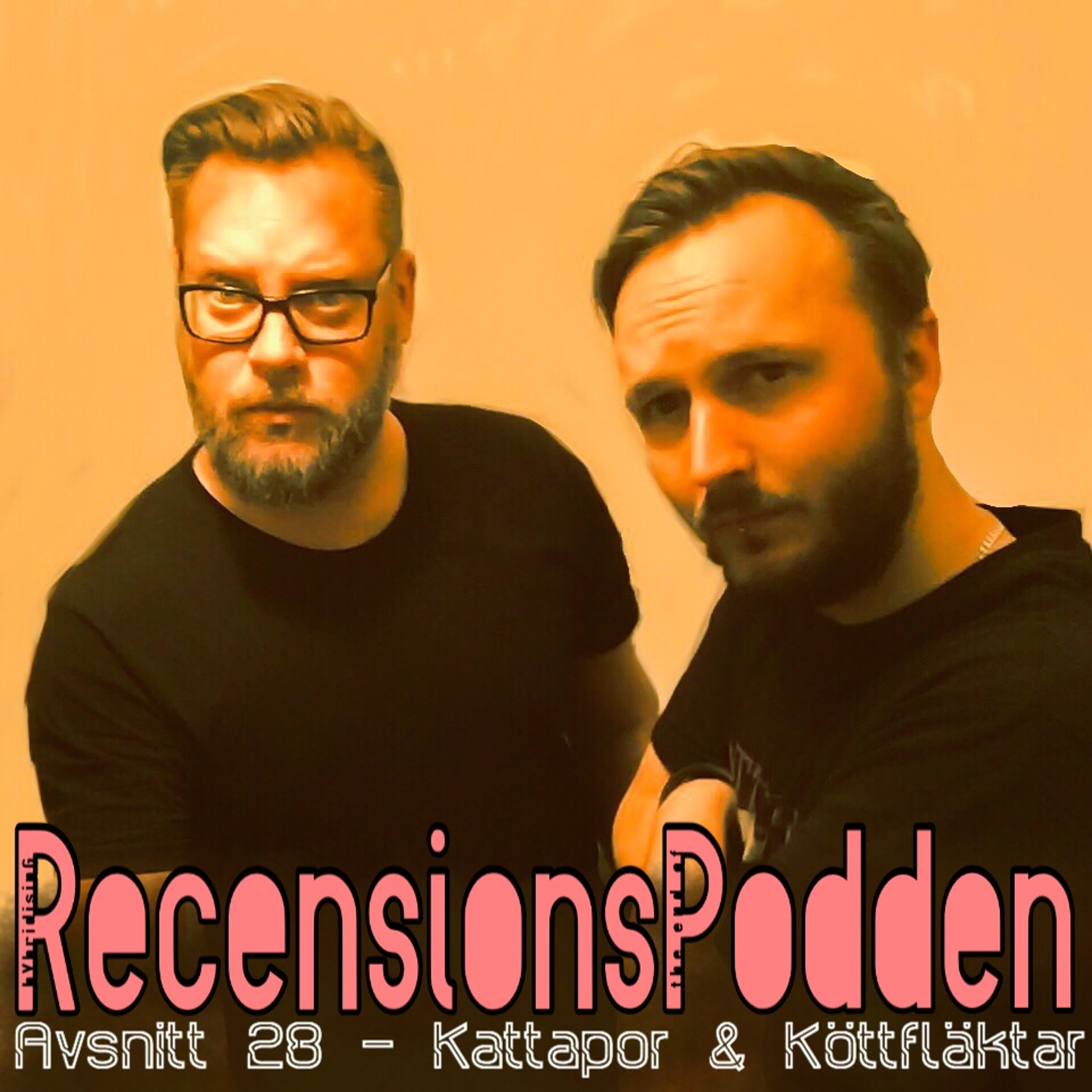 Recensionspodden