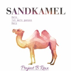 Sandkamel - Dein Ist Mein Ganzes Herz (Project B  Rmx