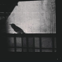 "Ain't No Rest For the Wicked" - Aiden Nicholas