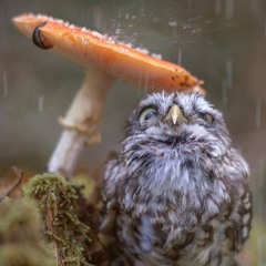 Dj Set @ Anniversaire Eloy et JB 16.04.2016