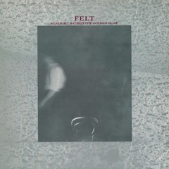Felt  - Sunlight Bathed The Golden Glow (vinyl)