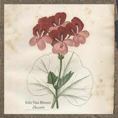Your Bloom