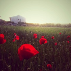 Best of Female Vocal Trance Vo