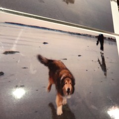 Down She Lies - The Hytes [DEMO]