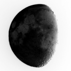 Running Towards the Moonlight