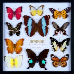 Nevermind (Prod. by ASO)