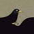 Artwork for A New Poet By Linda Pastan, Music R. Carlos Nakai, Voice M.J. Hummingway