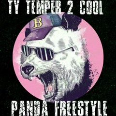 Ty Temper 2 Cool - Panda Freestyle