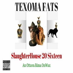 SlaughterHouse 20 Sixteen