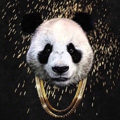 Static - Panda (Remix)