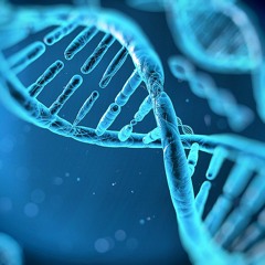 Light Speed - Genesis