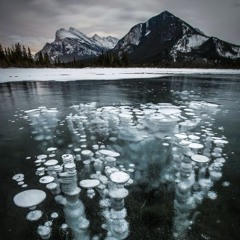 Life Without Purpose  by  Petty Vendetta ft. lemonade